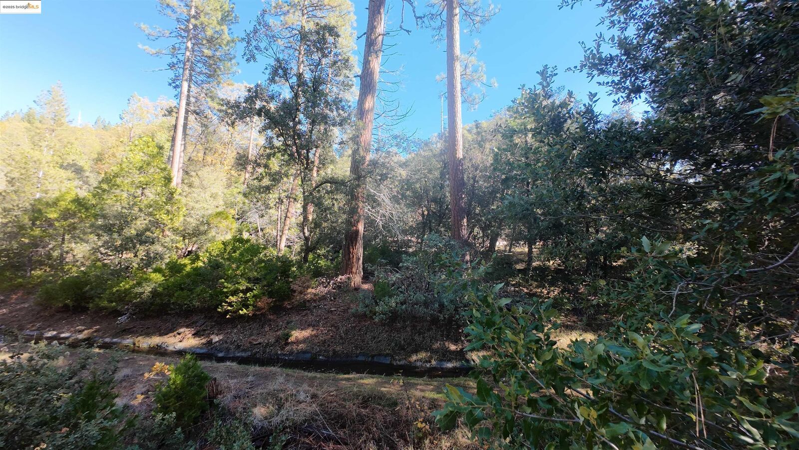 Property Photo: 22443 Broken Bough Ln CA 95383