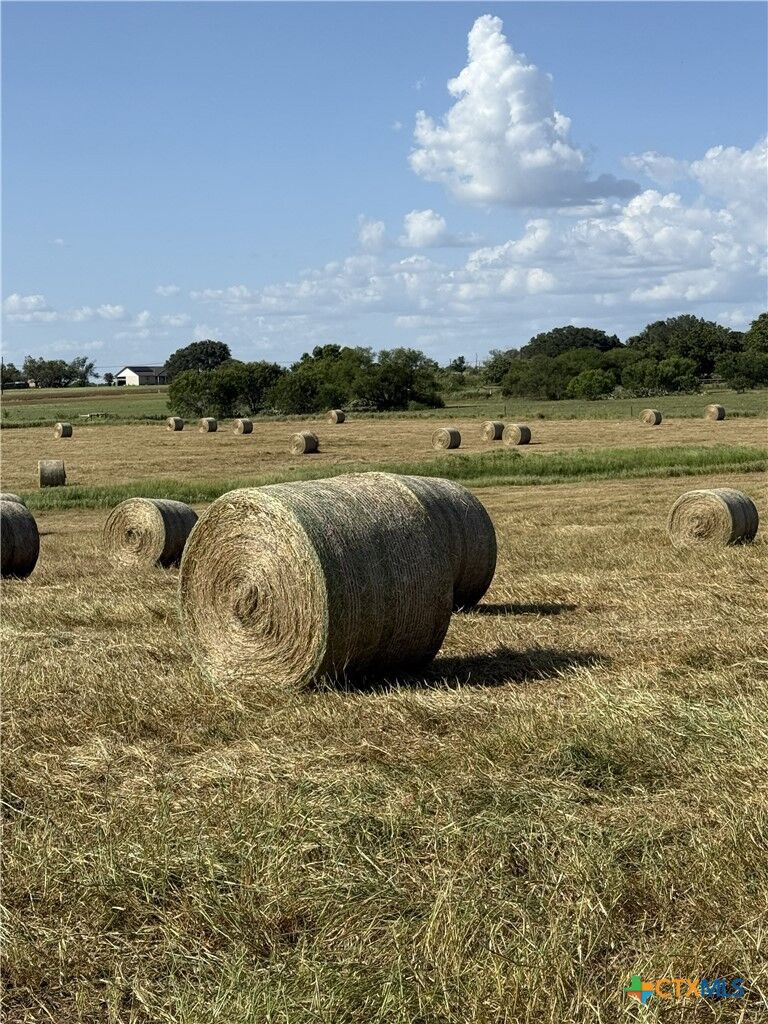 Property Photo: 226 Fm 1107 TX 78160