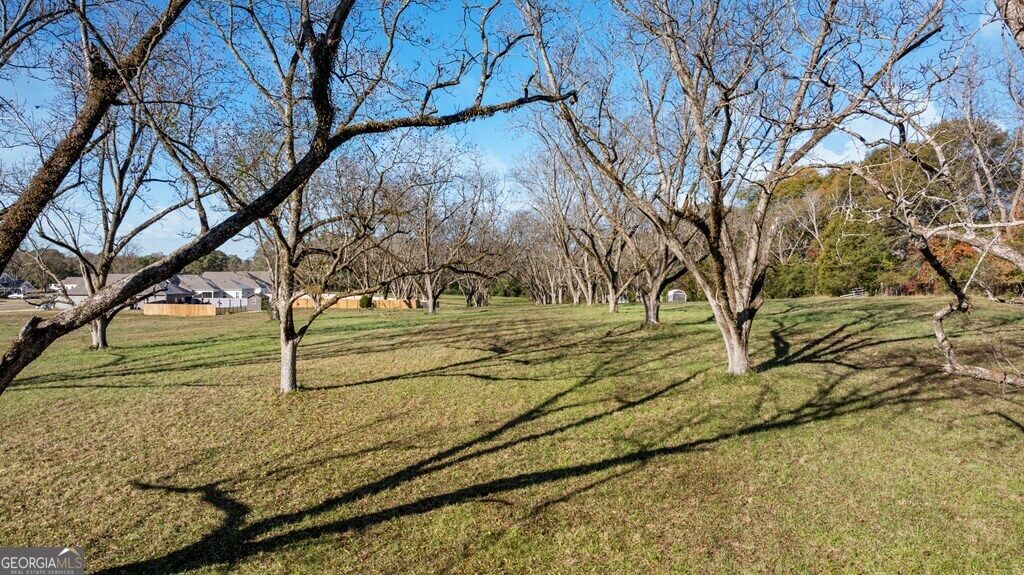 Property Photo:  128 Chinaberry Street  GA 31822 