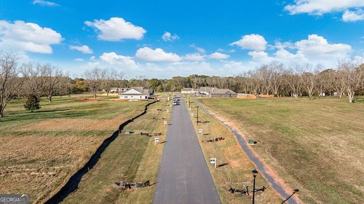 Property Photo:  153 Chinaberry Street  GA 31822 