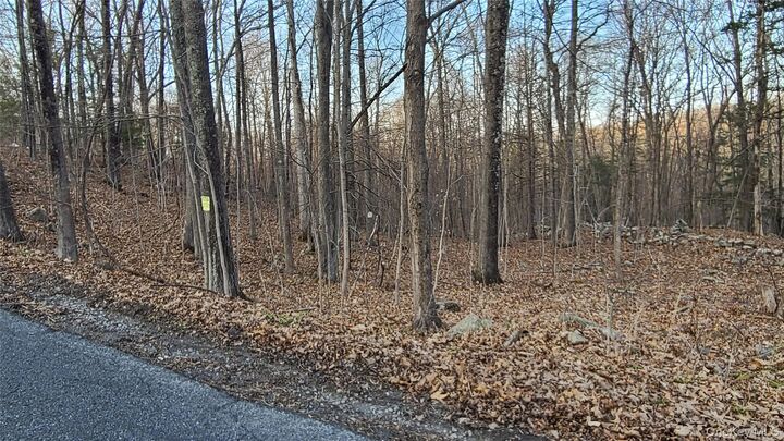 Property Photo: Tbd Hawleys Corner Road NY 12528