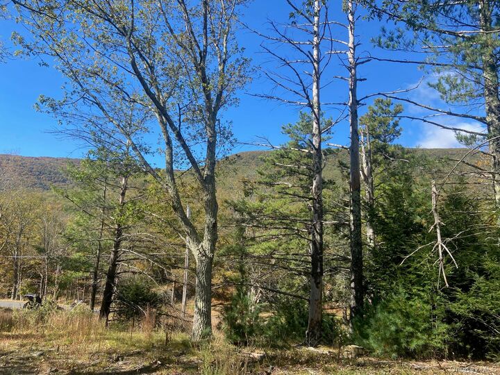 Property Photo:  Tbd Manorville Road  NY 12477 