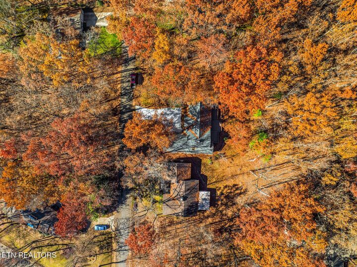 Property Photo:  119 Juniper Drive  TN 38558 