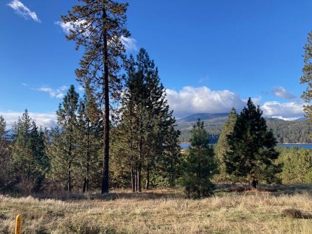 Property Photo: 1351 Lake Roosevelt Way WA 99141