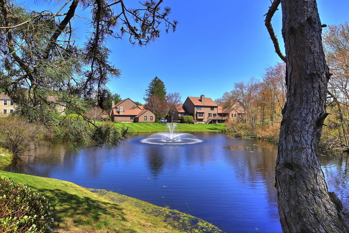 Property Photo:  13 Shadow Wood Circle 13  CT 06468 