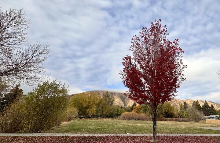 Property Photo:  721 Cd Olena Dr  ID 83333 