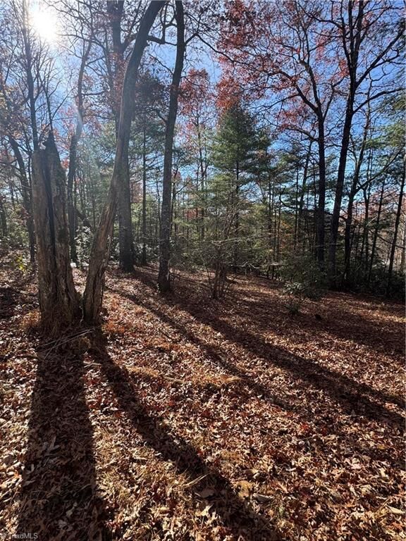 Property Photo:  324 Morrison Lane  NC 28626 