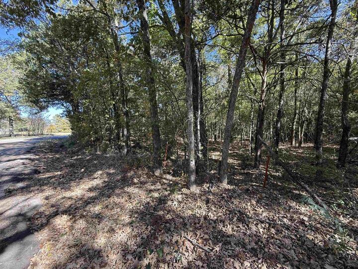 Property Photo: 000 C R 1412 TX 75790