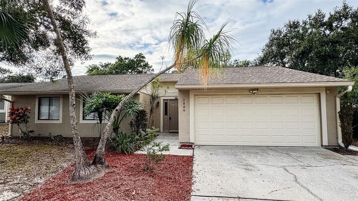 Property Photo: 2884 Cinnamon Bear Trail FL 34684