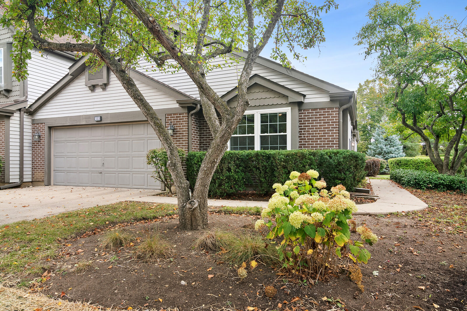 Property Photo:  381 Bentley Place  IL 60089 