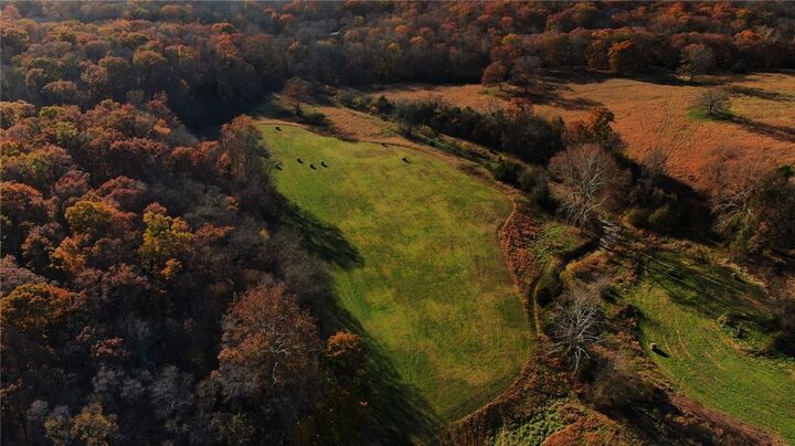 Property Photo: 14998 Highway 62 AR 72732