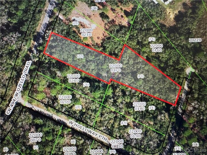 Property Photo:  10043 W Holloway Path  FL 34429 