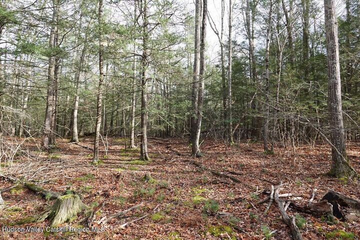 Property Photo:  738 Manorville Road  NY 12477 