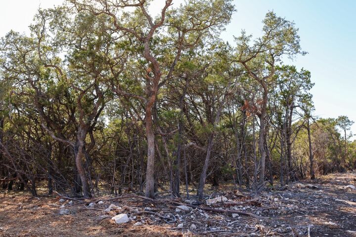 Property Photo: 3101 - 3 Longhorn Trail TX 78676