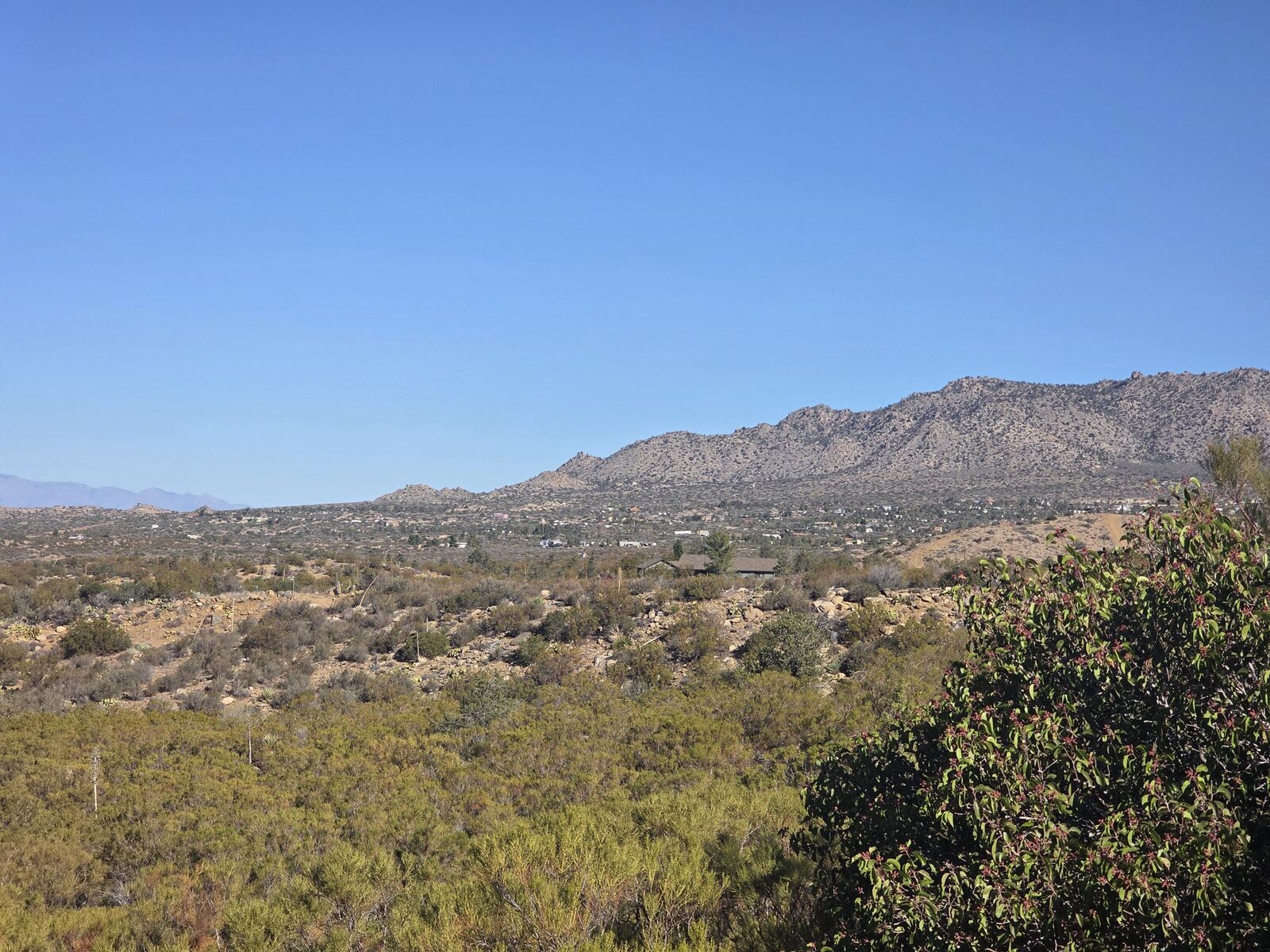 Property Photo: 0000 Belvedere CA 92262