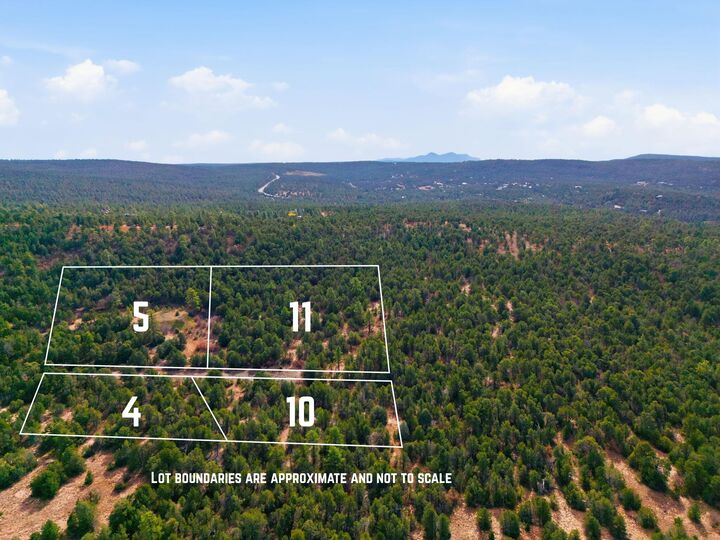 Property Photo: 4 Hayner Court NM 87059