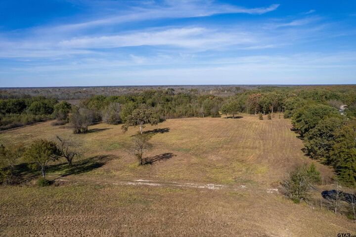 Property Photo: Tbd Fm 71 TX 75487