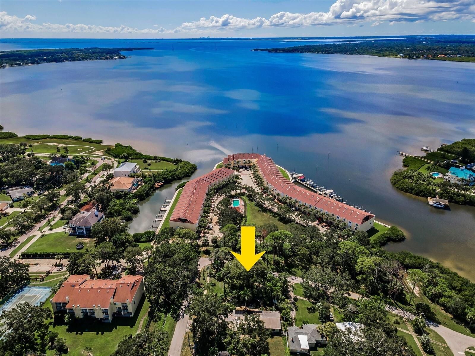 Property Photo: 416 Woodward Avenue FL 34677