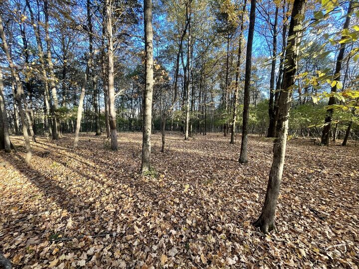 Property Photo: 0 Pawnee Trail TN 37115