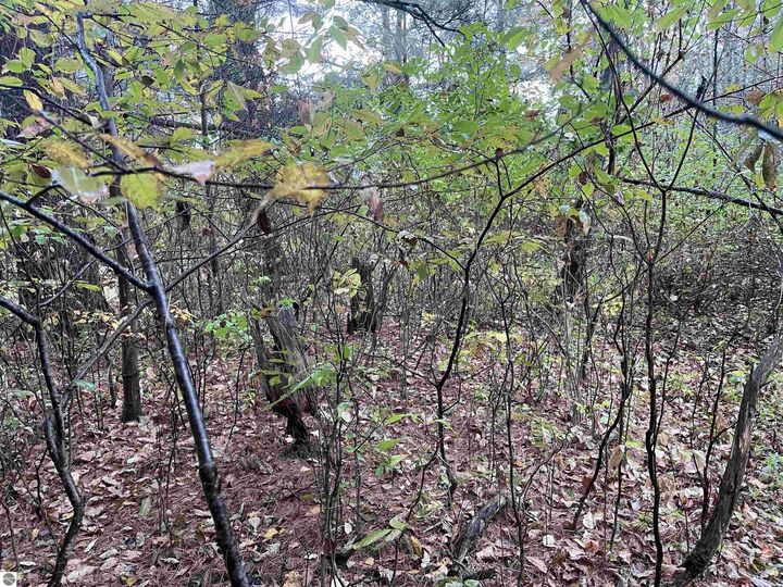 Property Photo:  35 Wilber Road  MI 48763 