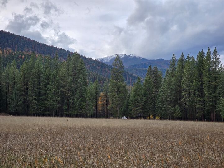 Property Photo:  Tbd Quartz Road  MT 59923 