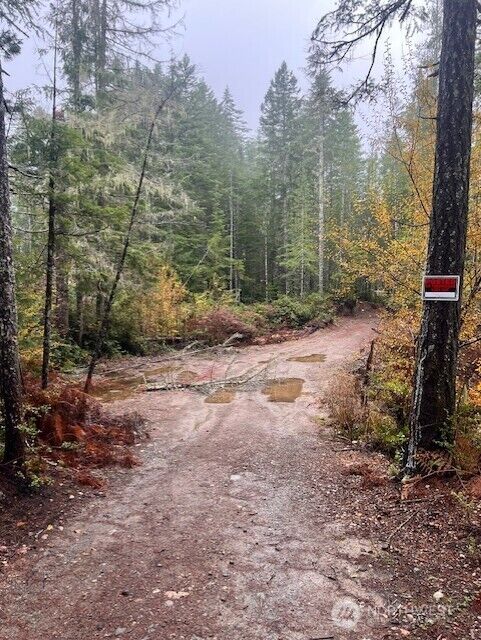 0 Tract 15  Dewatto Hills Road  Belfair WA 98528 photo