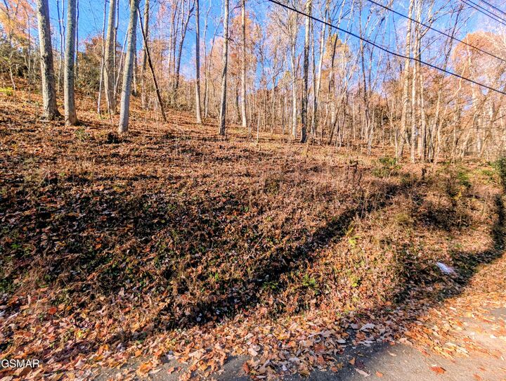 Property Photo:  Lot 1273 Raymond Hollow Road  TN 37876 