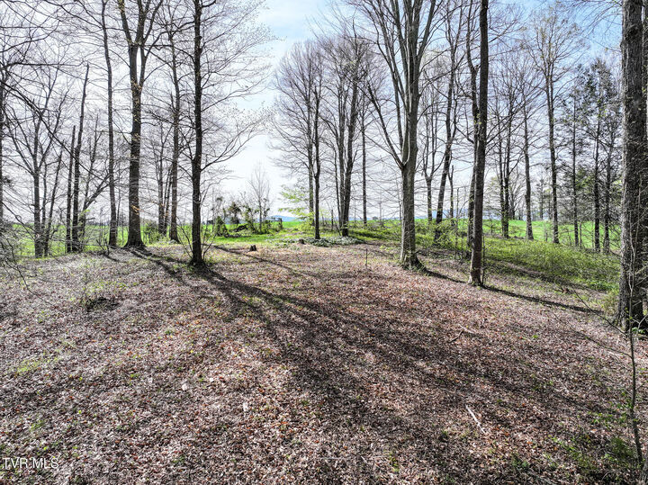 Property Photo:  190 Treadway Rd  TN 37641 