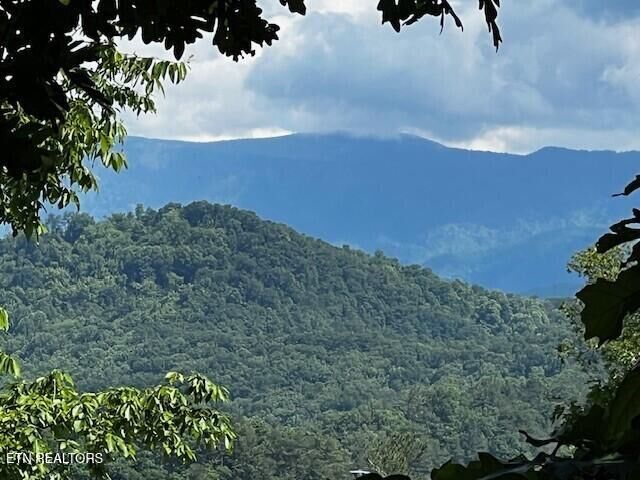 Property Photo: - Chinquapin Drive TN 37862