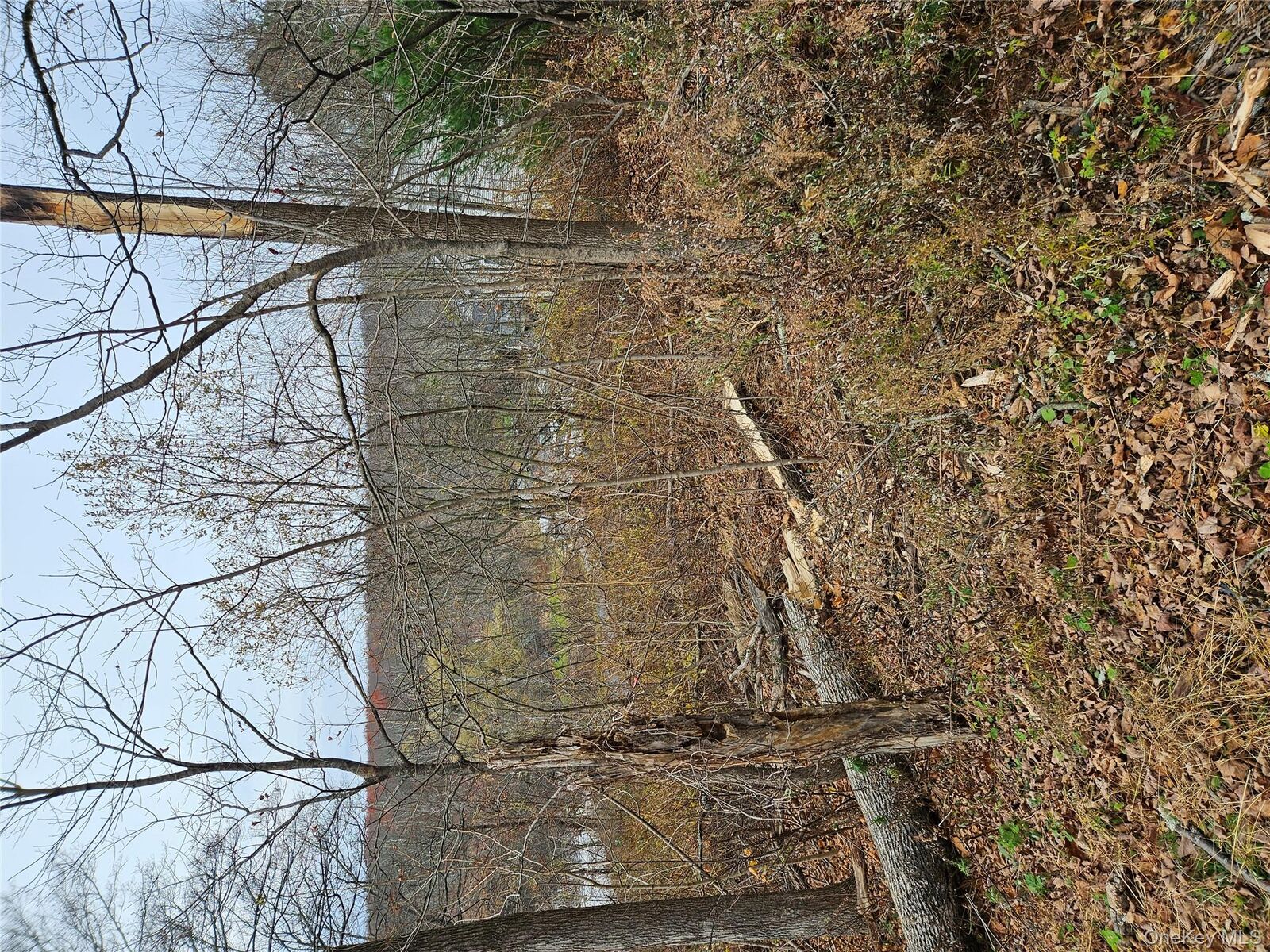 Property Photo: 23 Gardner Drive NY 12771