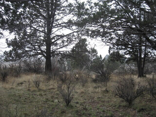 Property Photo: Drews Road Lot 2 OR 97639