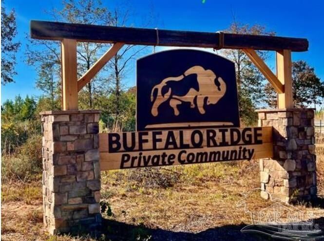 Lot 17 Bs Buffalo Ridge Rd  Pace FL 32571 photo