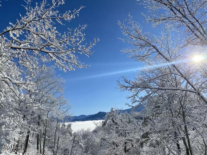 Property Photo: 1059 Lower Alpine Way TN 37738