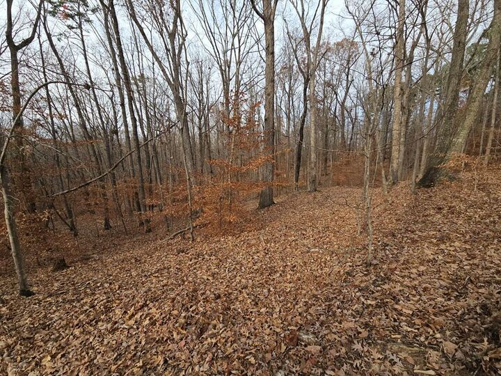 Property Photo:  Lots 3-4 Powhatan Road  VA 23927 