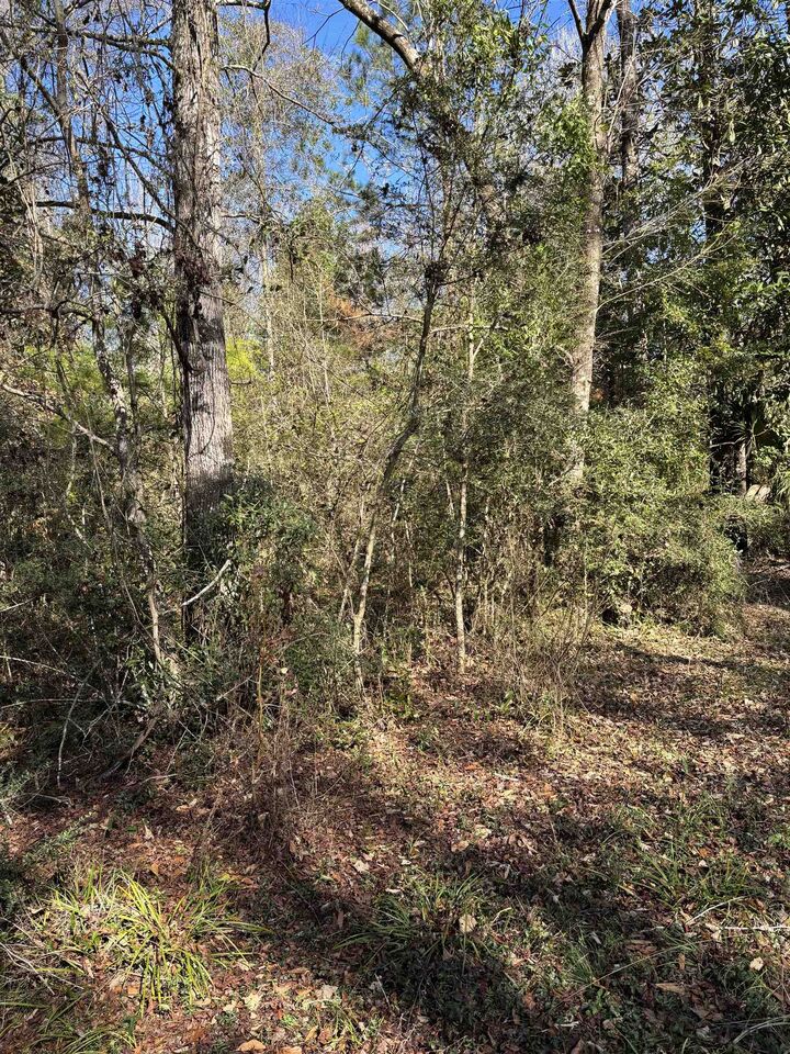 Property Photo:  Xx Noles Lane  FL 32327 