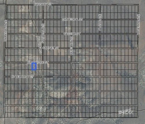 Property Photo:  066020003 Blue Ridge Street  NV 89801 