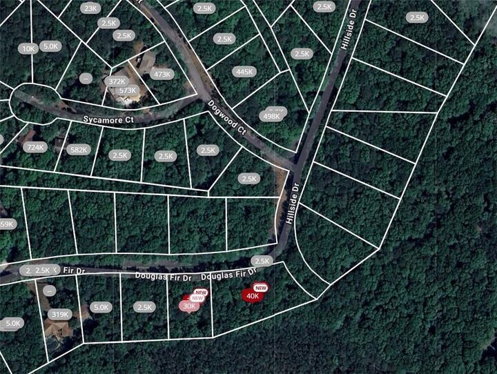 Property Photo:  101 Douglas Fir Drive  GA 30183 