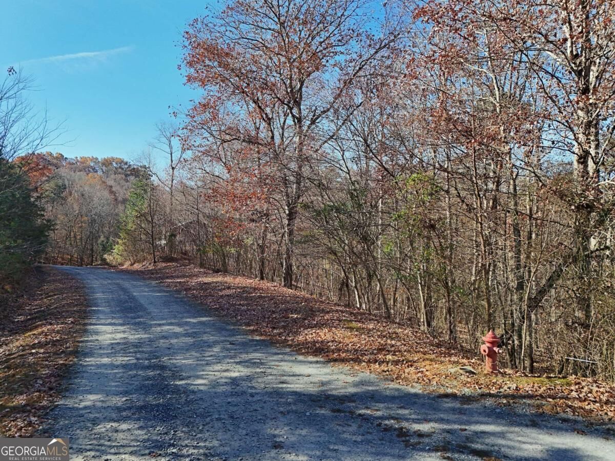 Property Photo: Lt 24 Winding Creek Road GA 30513