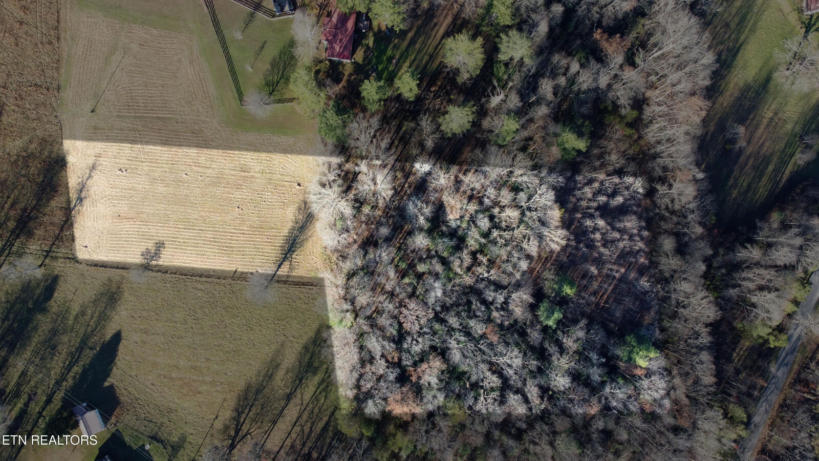 Property Photo:  3.99 Ac Bob Austin Rd  TN 38571 