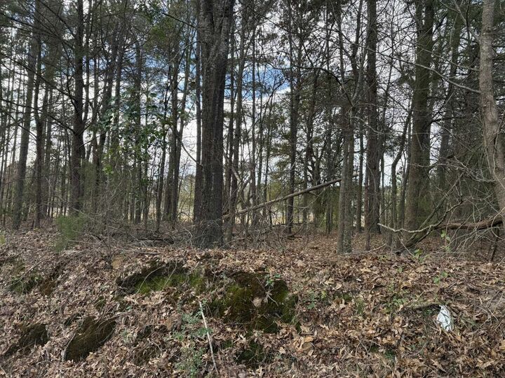 Property Photo:  Tbd Bob-O-Link  TX 75644 