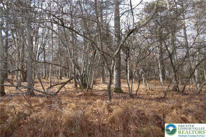 1922 Old Stage Road  Penn Forest Twp PA 18210 photo