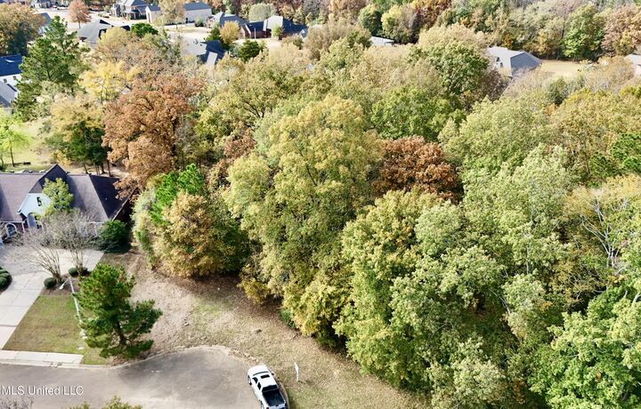 Property Photo:  0 Ashton Place  MS 39056 