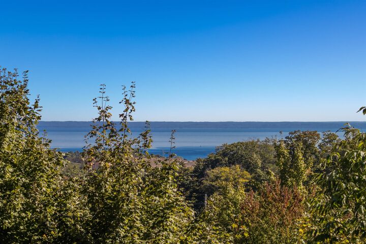 Property Photo:  Parcel C E Duck Lake Road  MI 49682 