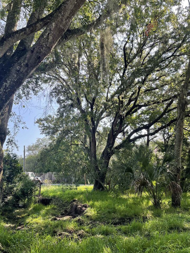 Property Photo:  Madrid St Lot 3  FL 32080 