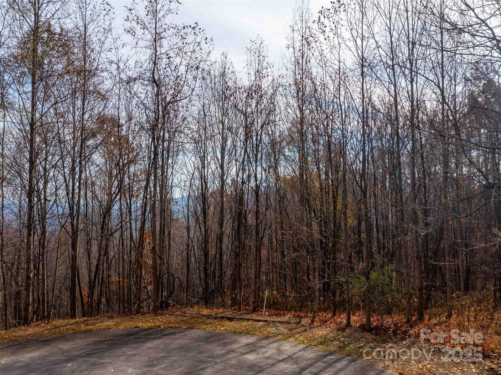 Property Photo:  242 Nottingham Drive  NC 28756 