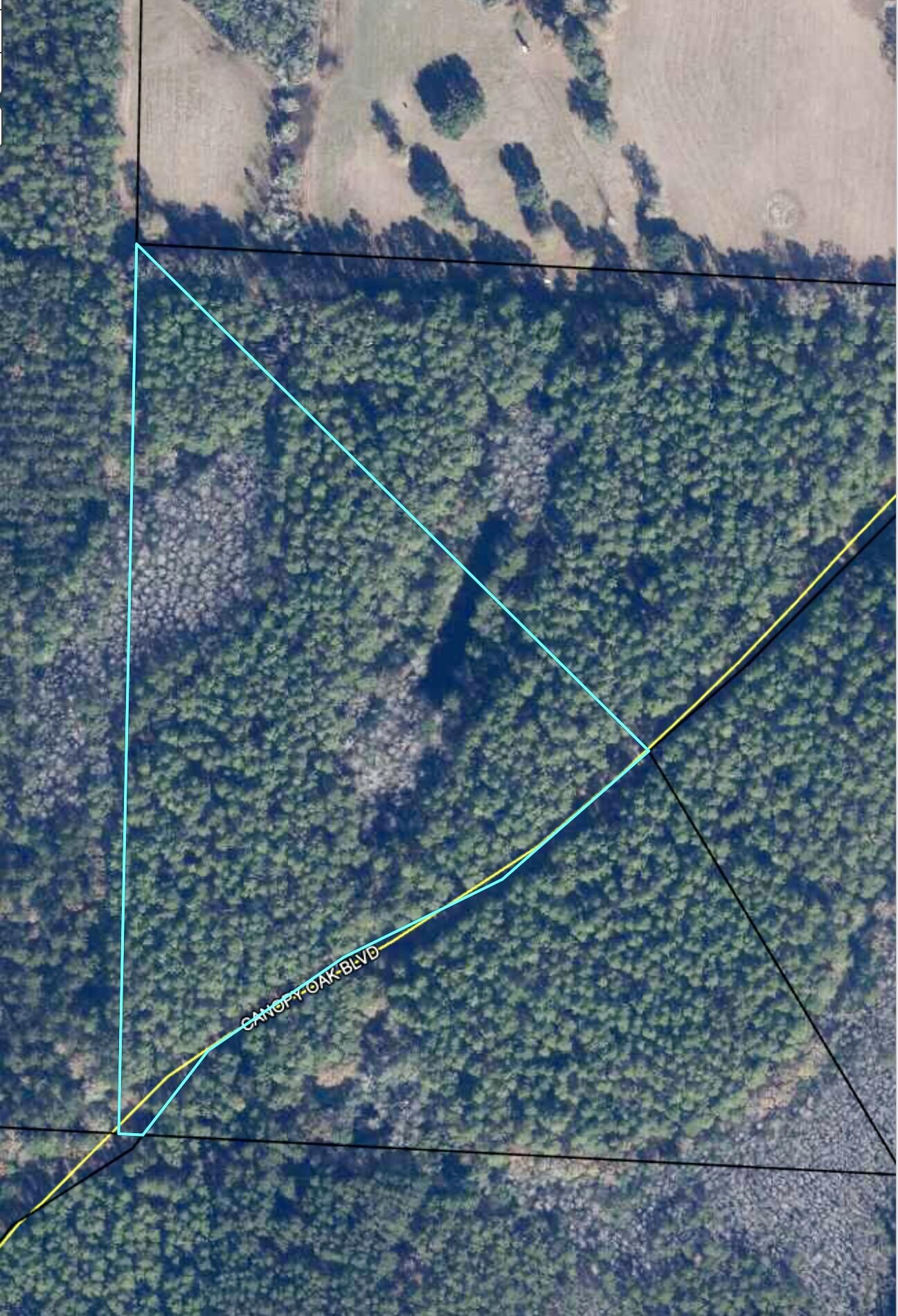 Property Photo: 5 Canopy Oaks Blvd FL 32425