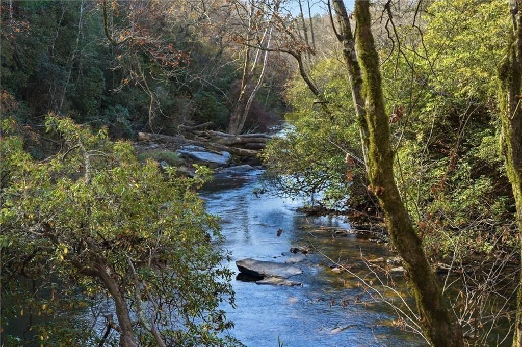 Property Photo:  000 Lower Dowda Mill Road  GA 30143 