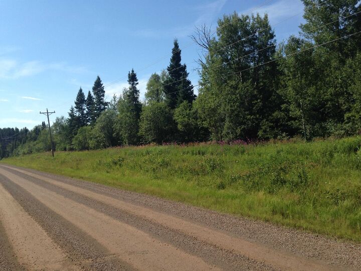Property Photo: 7xx County Rd 6 MN 55604