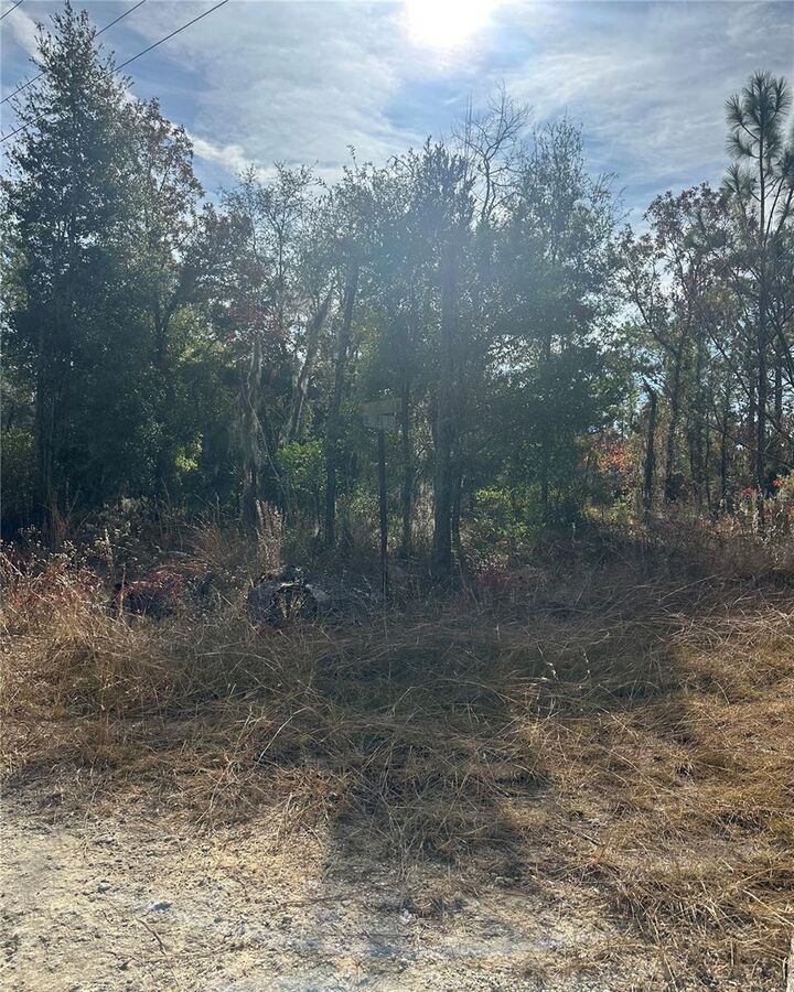 Property Photo:  Lot 2 NE 151st Ter  FL 32696 