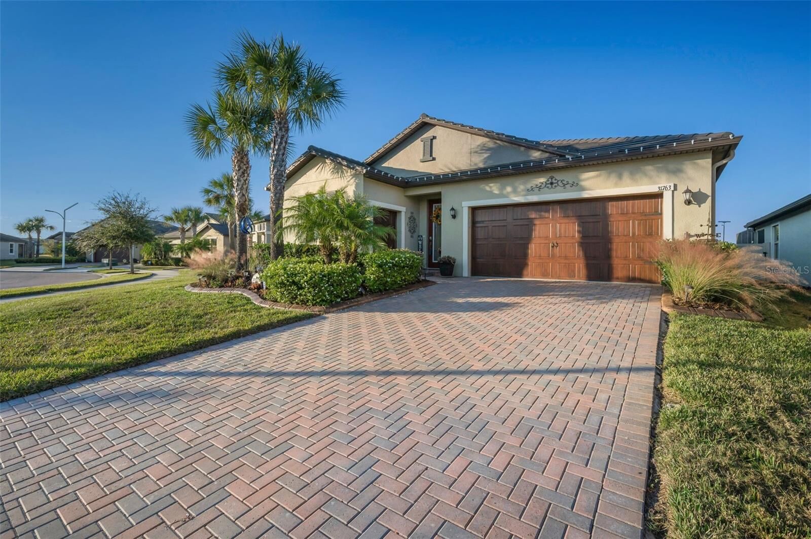 Property Photo:  31763 Cabana Rye Avenue  FL 33576 